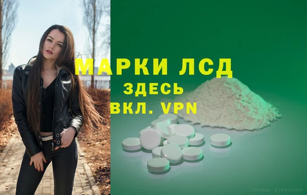 дмт Ростов