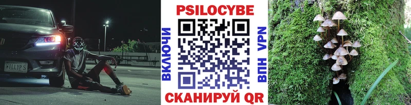 Псилоцибиновые грибы GOLDEN TEACHER  Весьегонск 